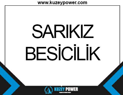 SARIKIZ BESİCİLİK