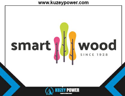 SMART WOOD